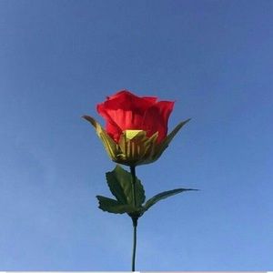 Meet your Posher, Lily